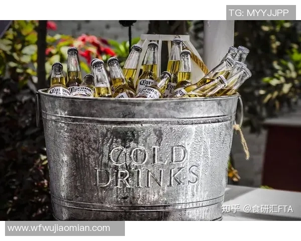 世界杯冠军的成因探讨实力与运气的交织与碰撞